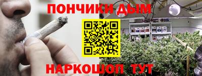 крисы Будённовск