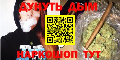 крисы Будённовск