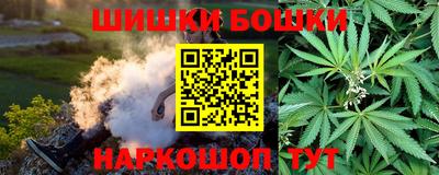 крисы Будённовск