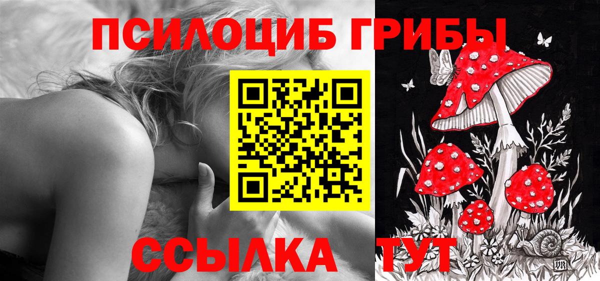 Псилоцибиновые грибы MAGIC MUSHROOMS  Вход с VPN  Ульяновск  Псилоцибиновые грибы Psilocybine cubensis 