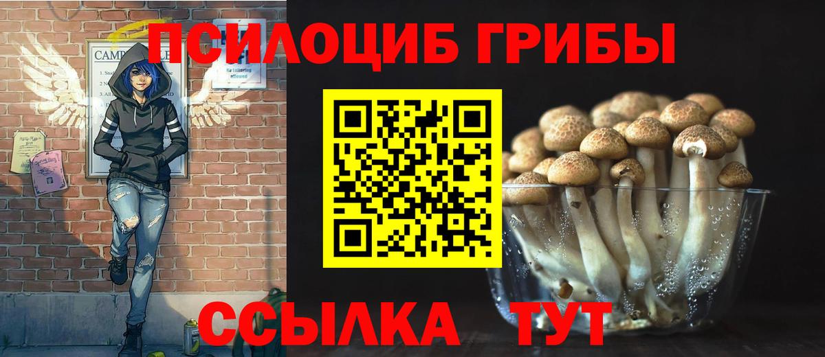 Галлюциногенные грибы Cubensis Ульяновск